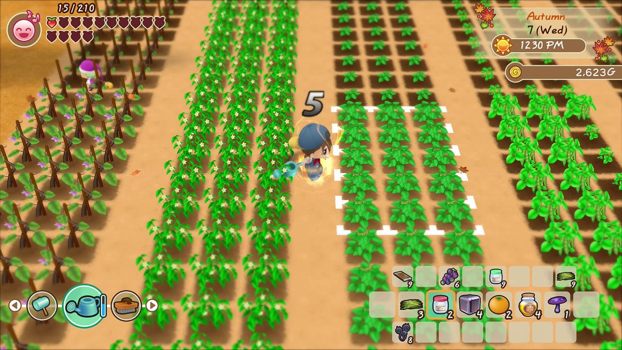 STORY OF SEASONS: Friends of Mineral Town 6