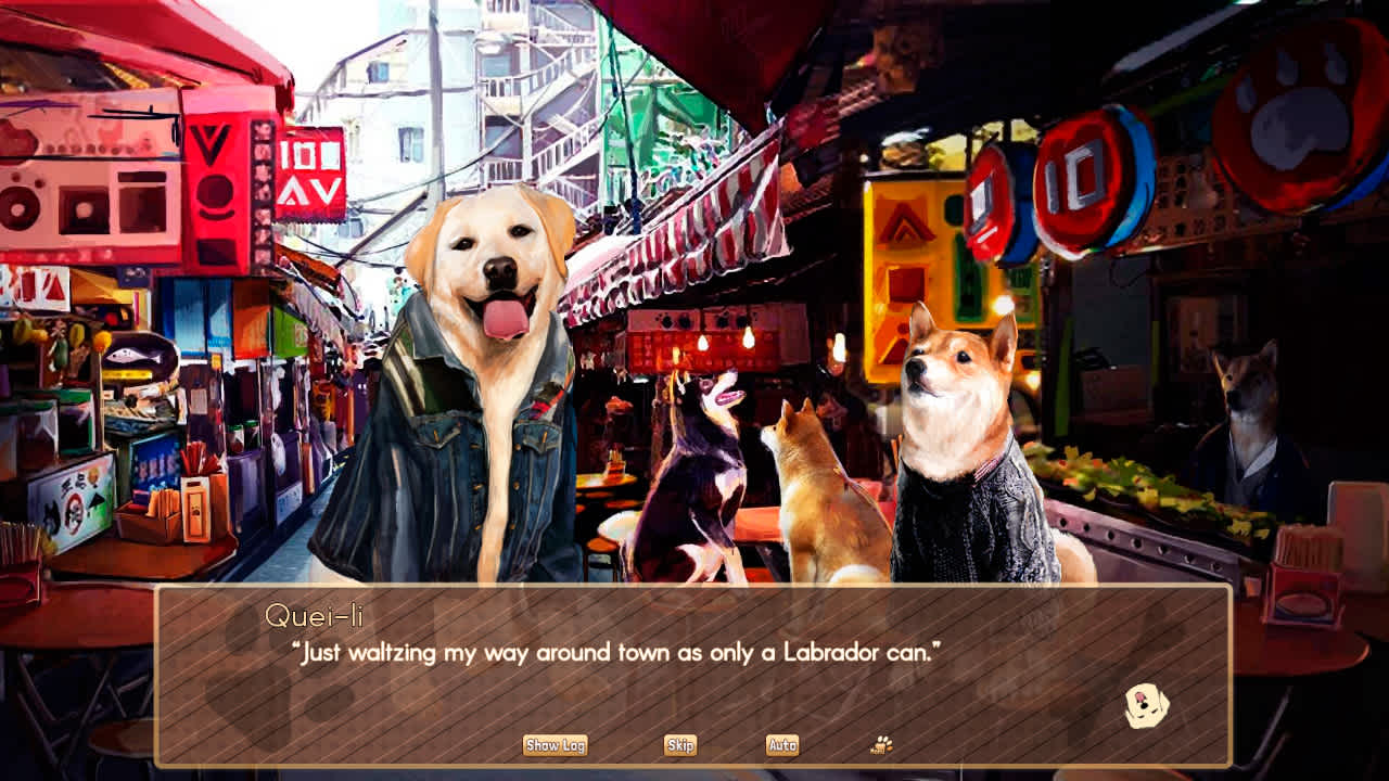 A Summer with the Shiba Inu 4