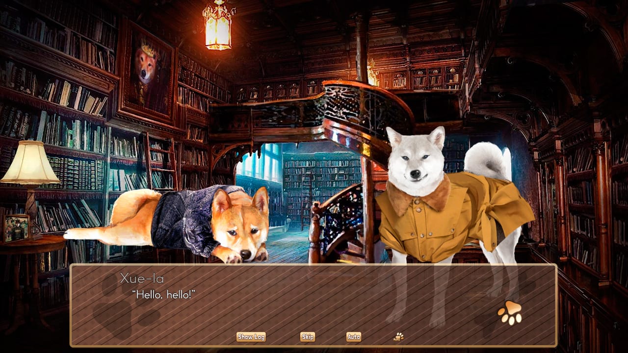 A Summer with the Shiba Inu 8