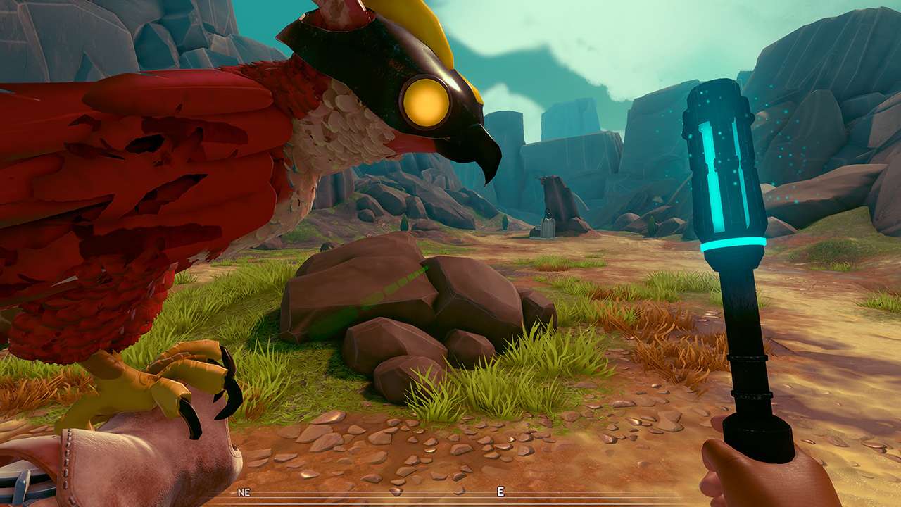 Falcon Age 7