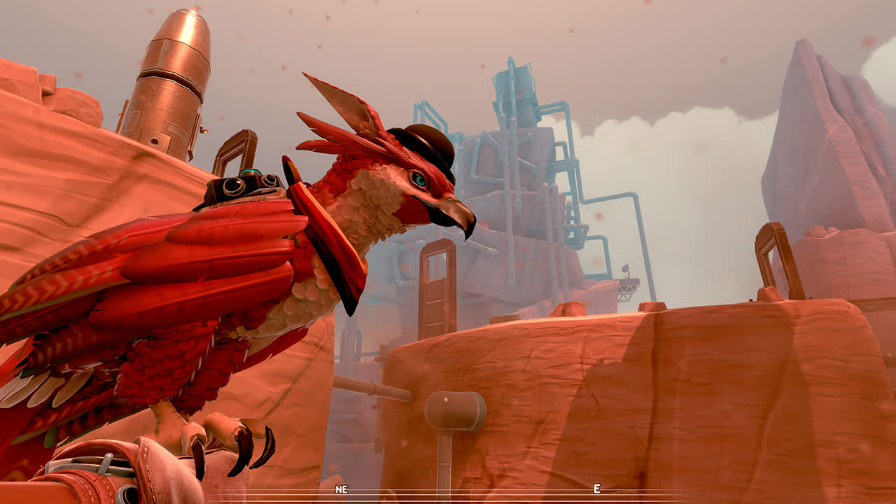 Falcon Age 6