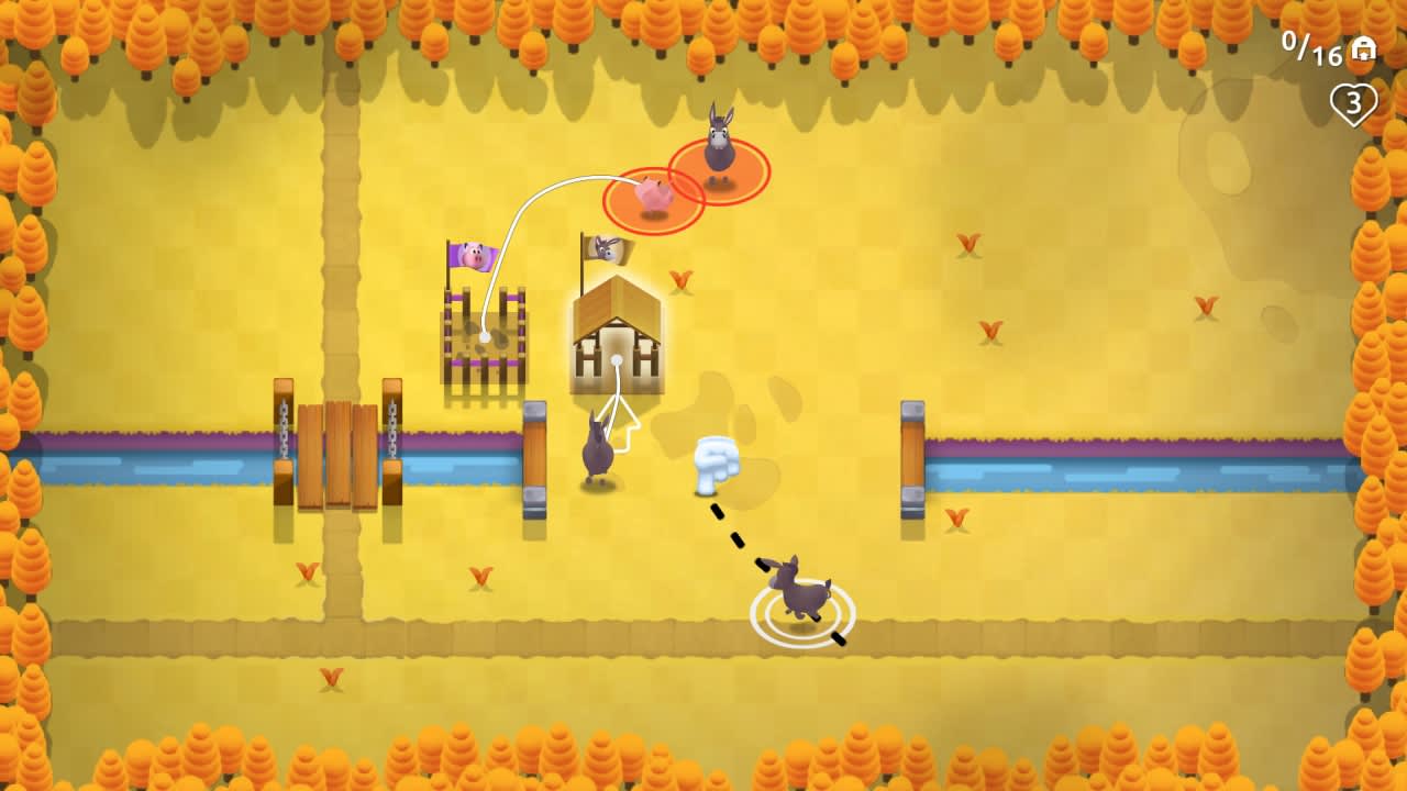 Crowdy Farm Rush 7