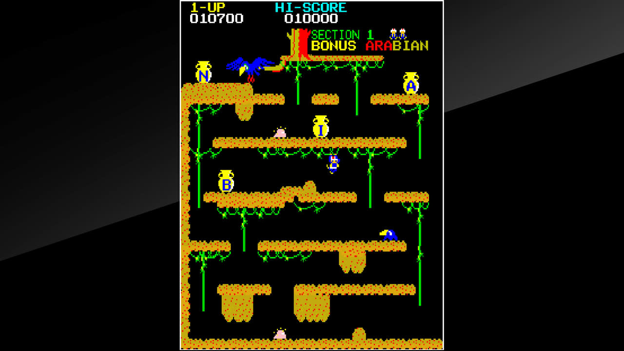 Arcade Archives ARABIAN 5