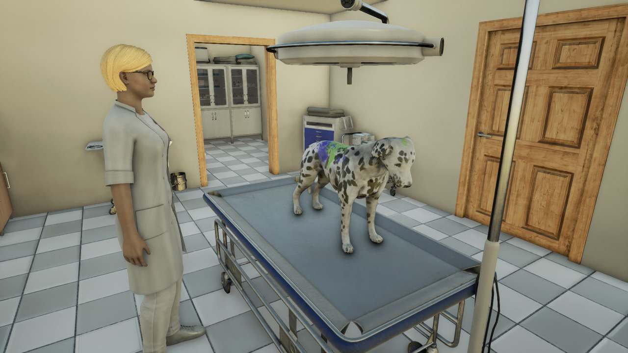 Animal Doctor 4