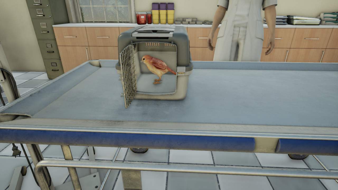 Animal Doctor 7