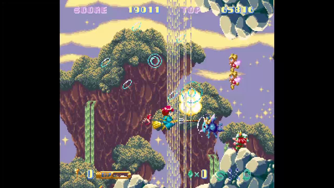 Cotton 100% 7