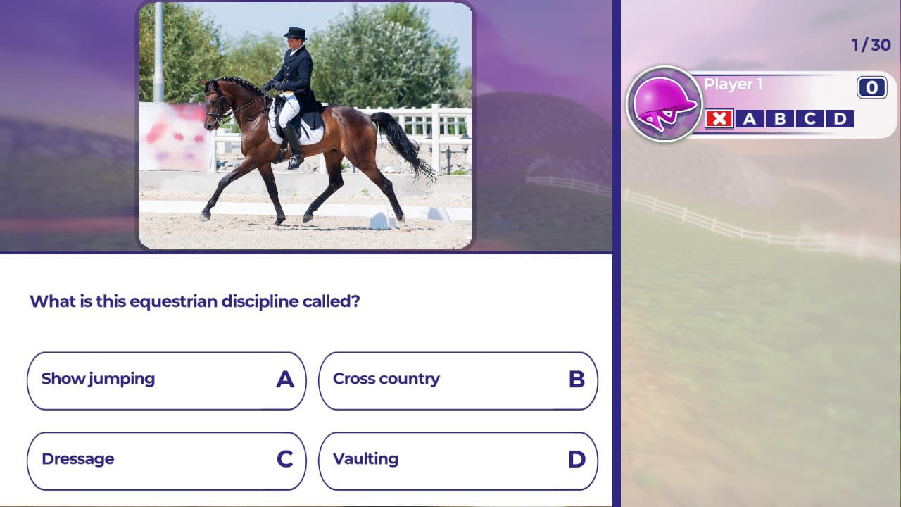 Equestrian Training 6