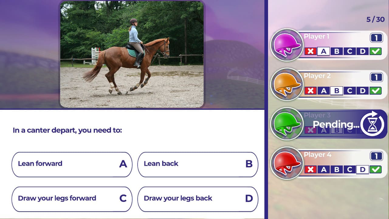 Equestrian Training 3