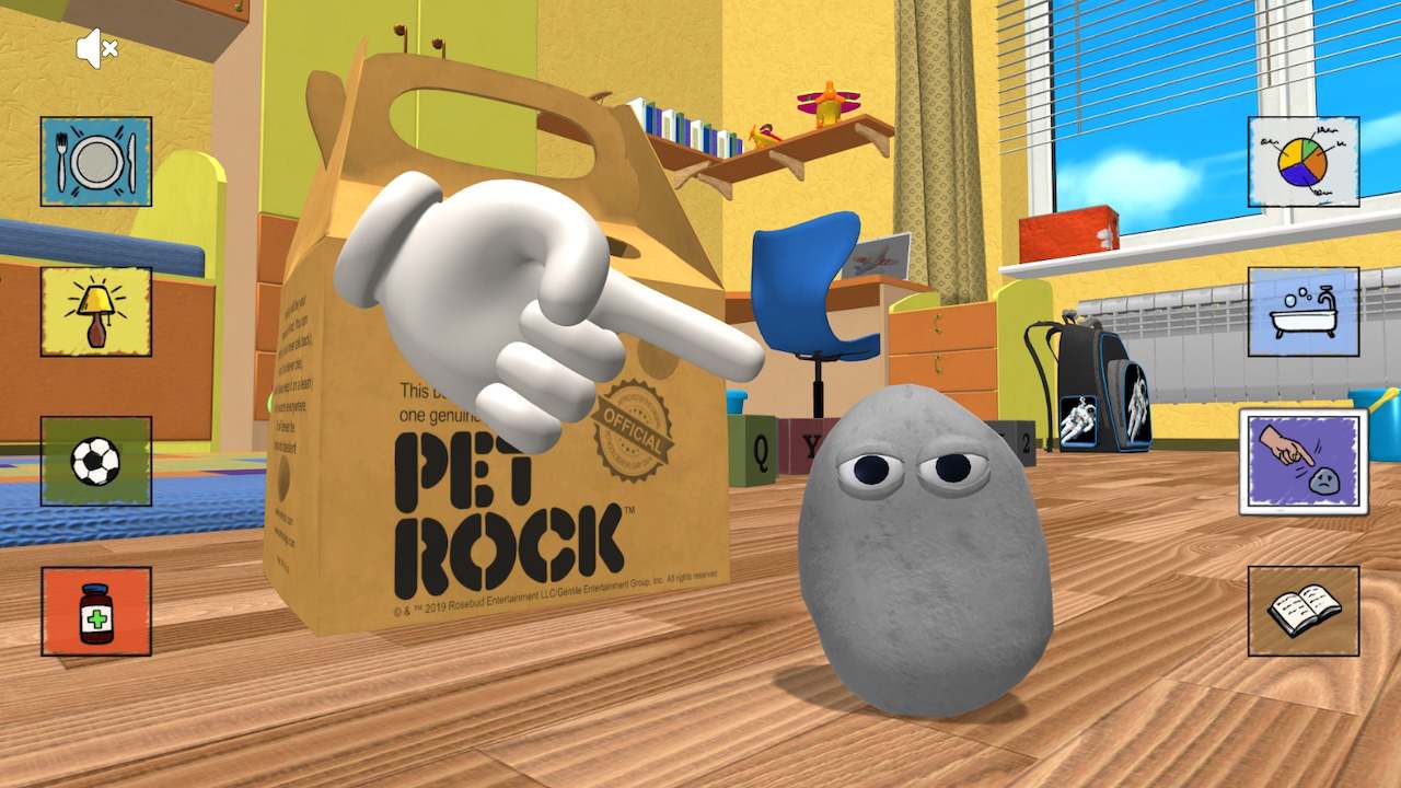 Pet Rock 6