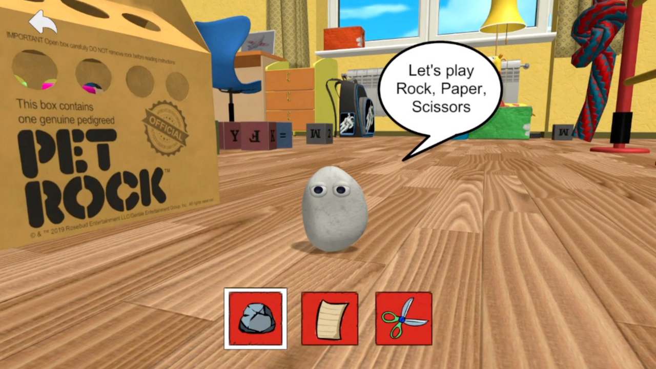 Pet Rock 8