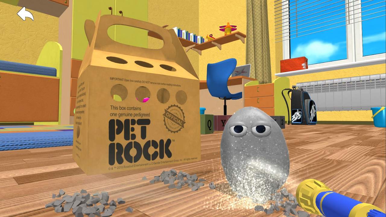 Pet Rock 7
