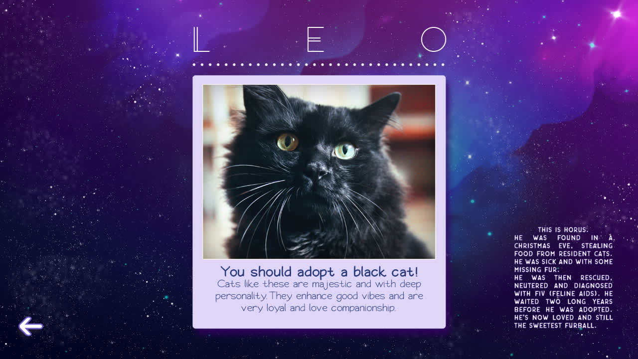 Zodiacats 6