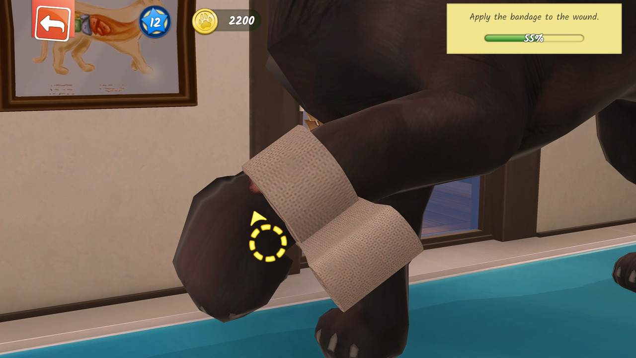 Animal Hospital 3