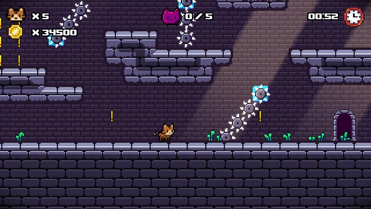Kitten Island 5