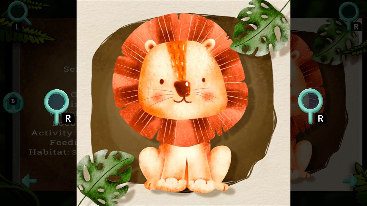 Animals - Habitats and Curiosities 7