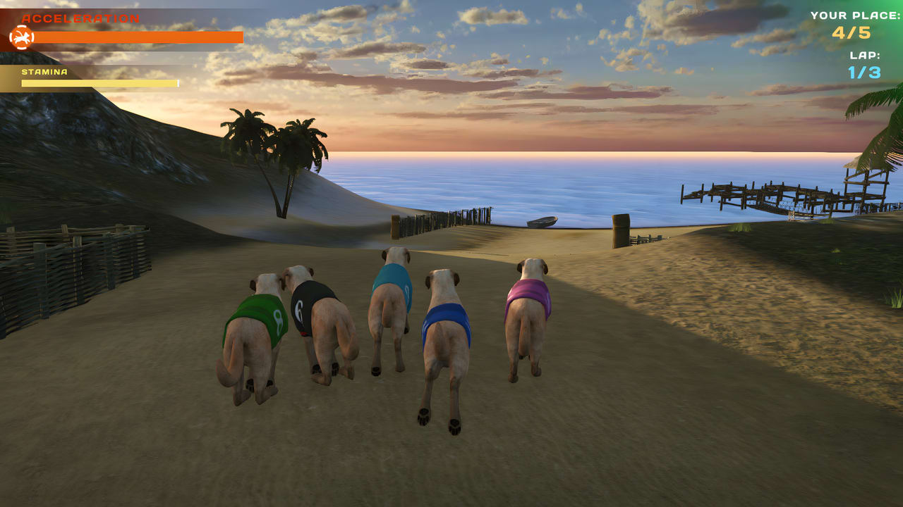 DOG RACING - LOVELY PET FRIENDS PAW 6