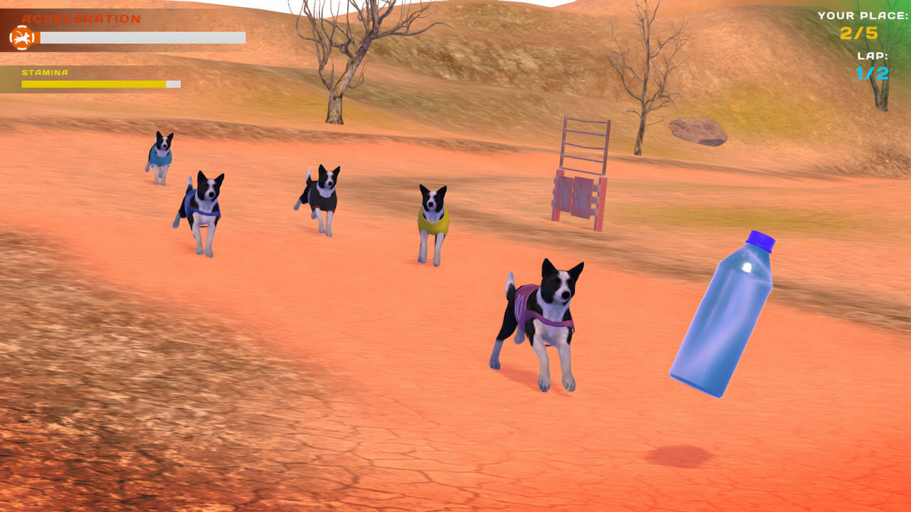 DOG RACING - LOVELY PET FRIENDS PAW 7