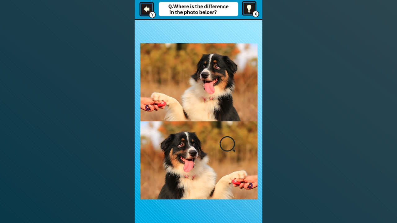 Train Your Brain! Spot the Difference with Dog Photos 4