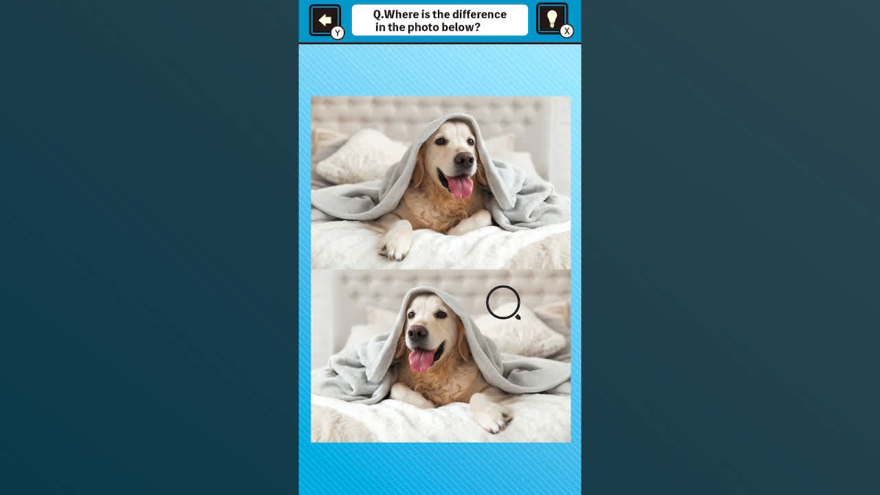 Train Your Brain! Spot the Difference with Dog Photos 5