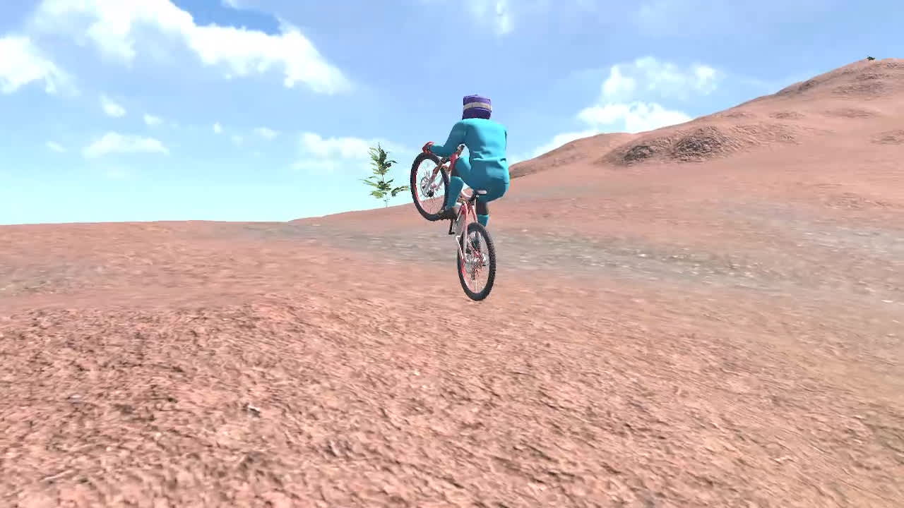 BMX Wild Run 4