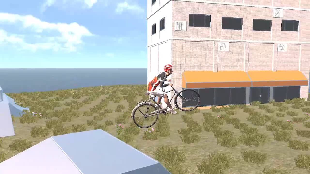 BMX Wild Run 8