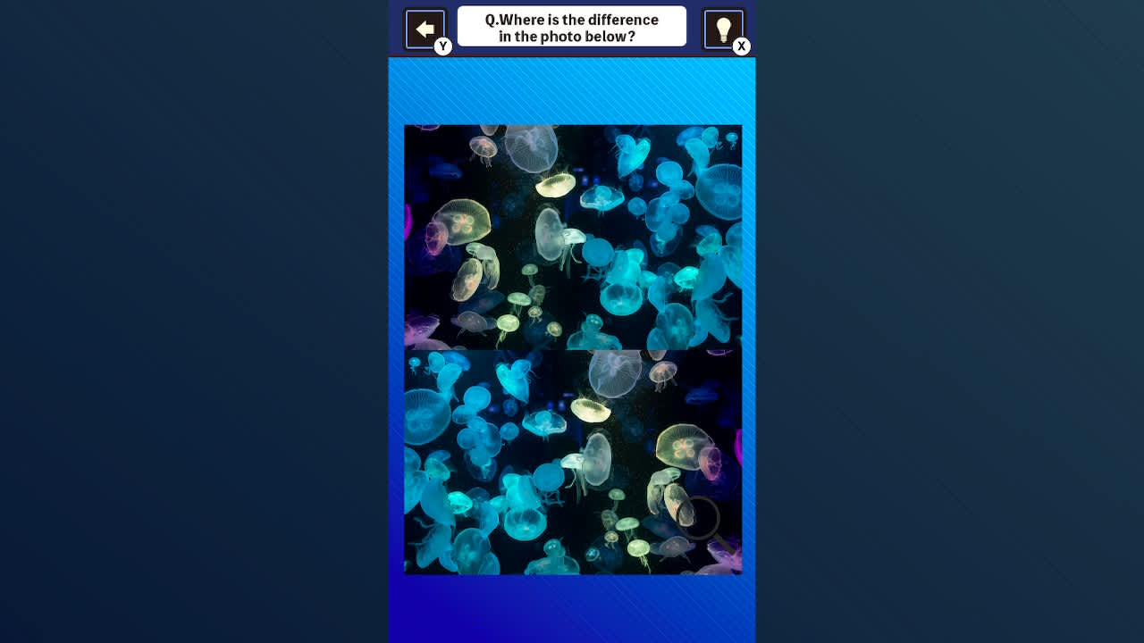 Train Your Brain! Spot the Difference with fish photos 2