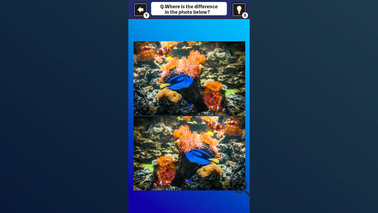 Train Your Brain! Spot the Difference with fish photos 5