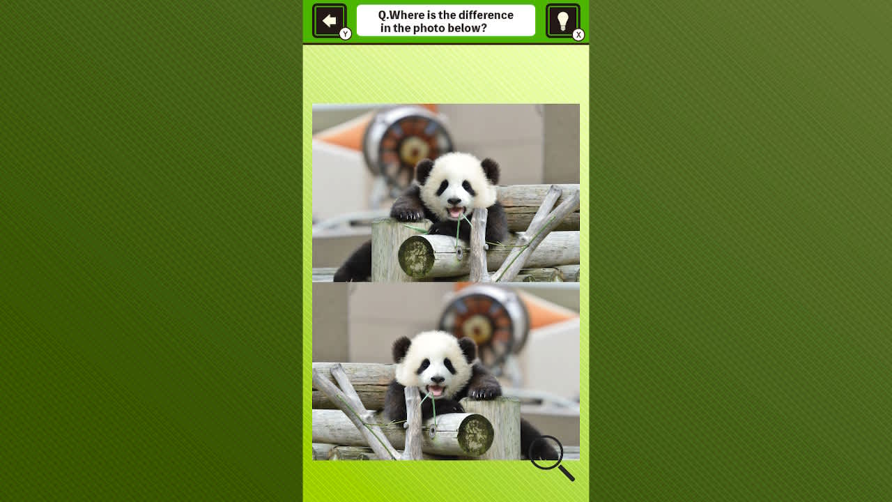 Super kawaii! Finding mistakes in panda photos 2
