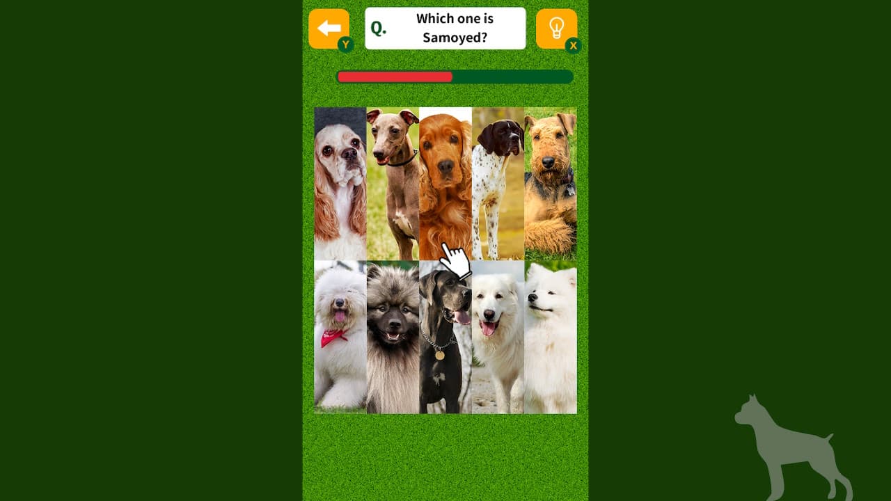 Dog Spotting Challenge! 3