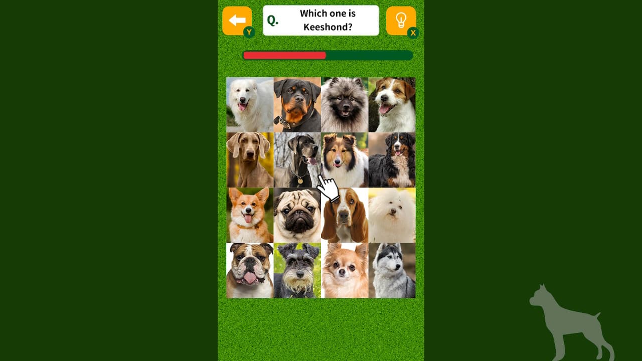 Dog Spotting Challenge! 5