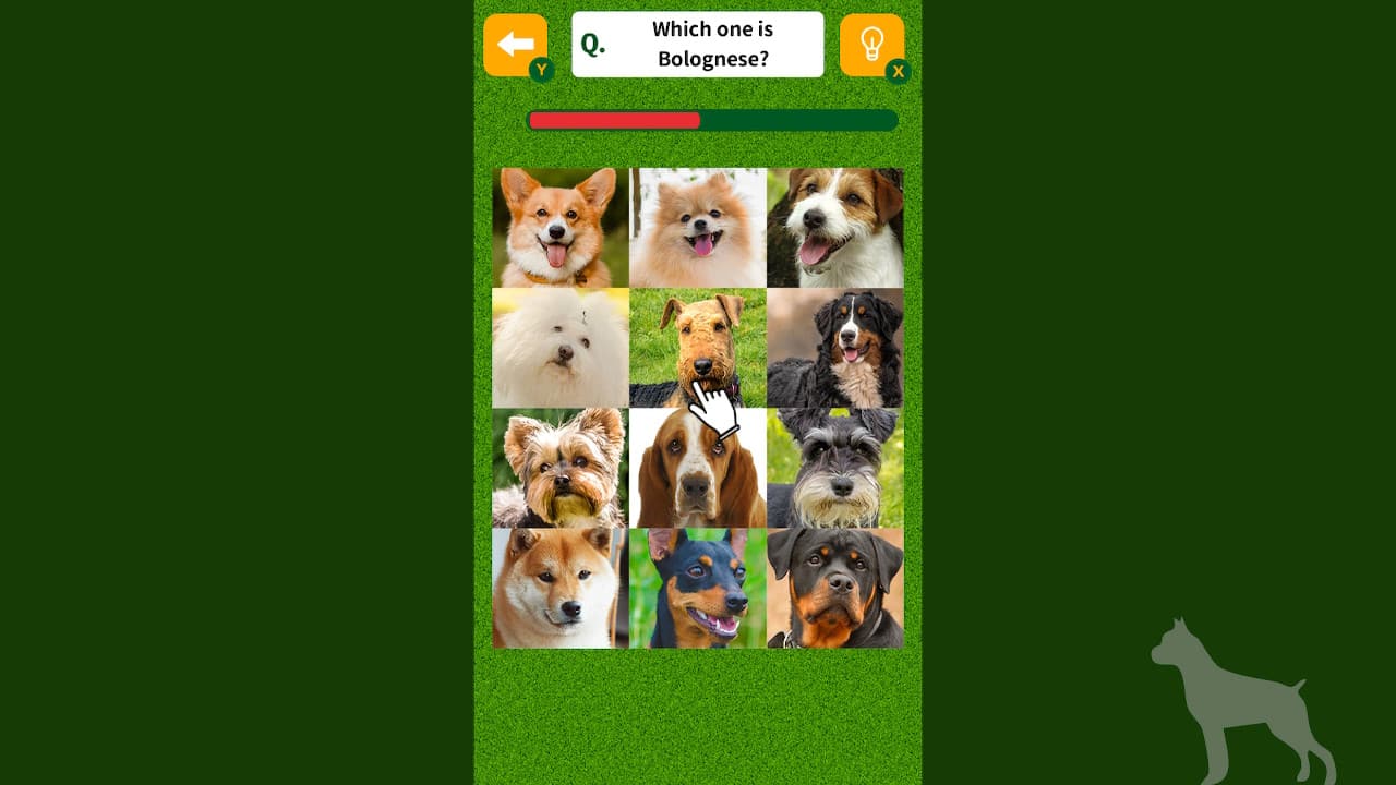 Dog Spotting Challenge! 4