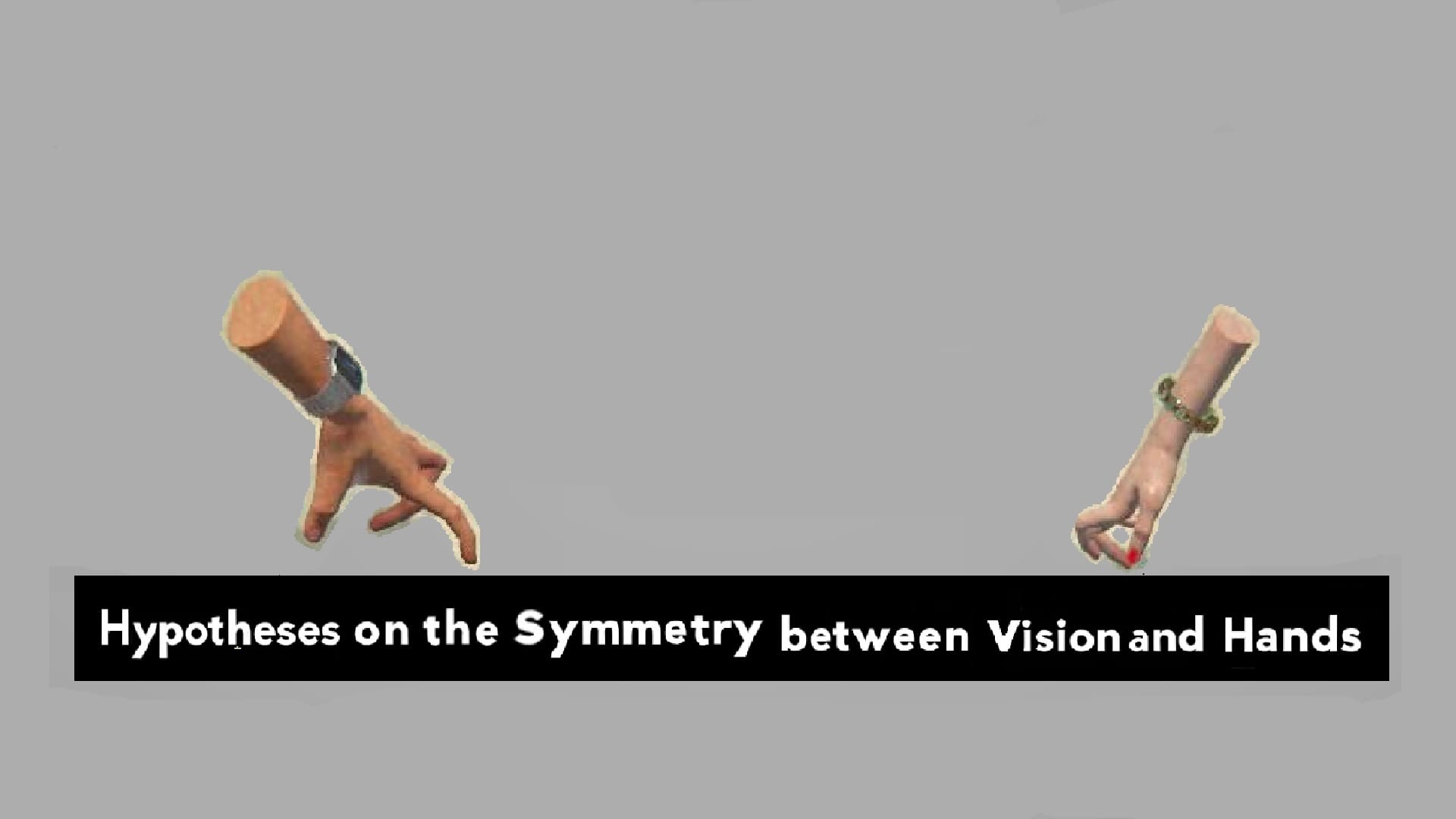 Hypotheses on the Symmetry between Vision and Hands 1