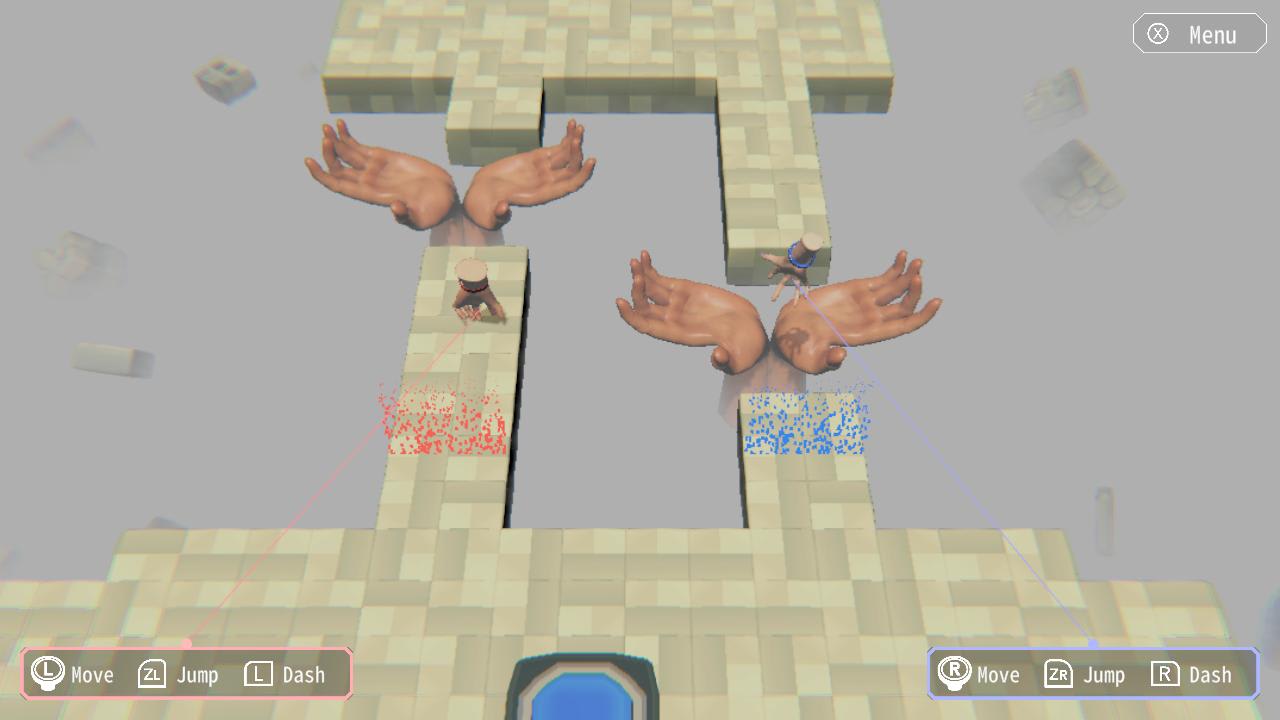 Hypotheses on the Symmetry between Vision and Hands 3
