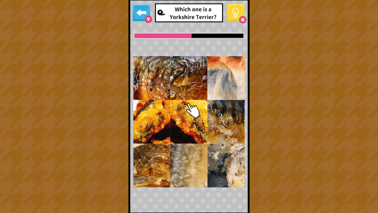 Brain Challenge Spot the Real One! 2