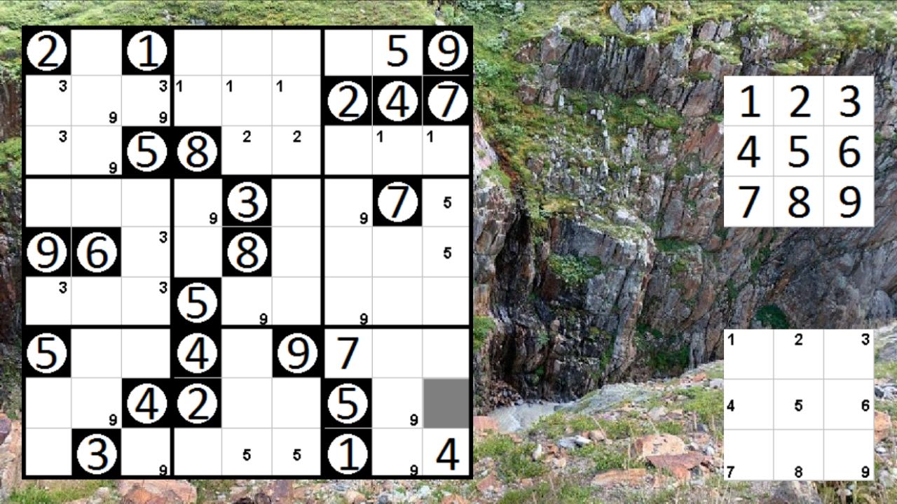 Logic Puzzle Collection: Sudoku - Permudoku - Nonodoku 5
