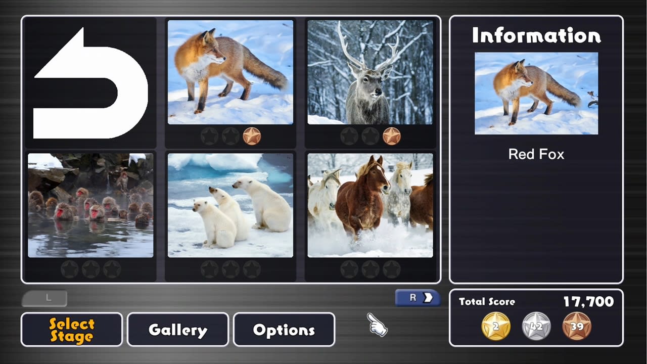 Animals in Snow 5