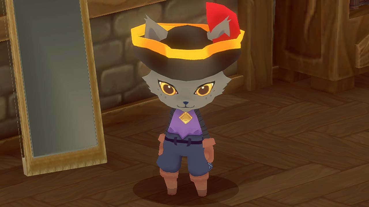 Pirate Hat 2