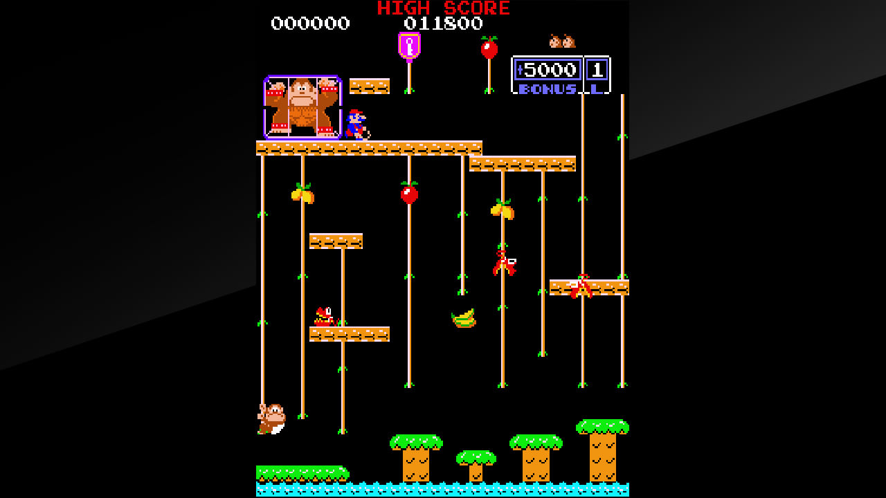 Arcade Archives DONKEY KONG JR. 4