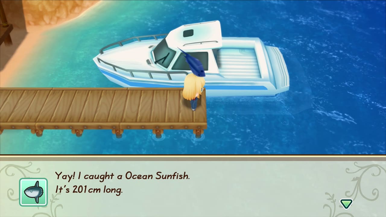 STORY OF SEASONS: Friends of Mineral Town 7