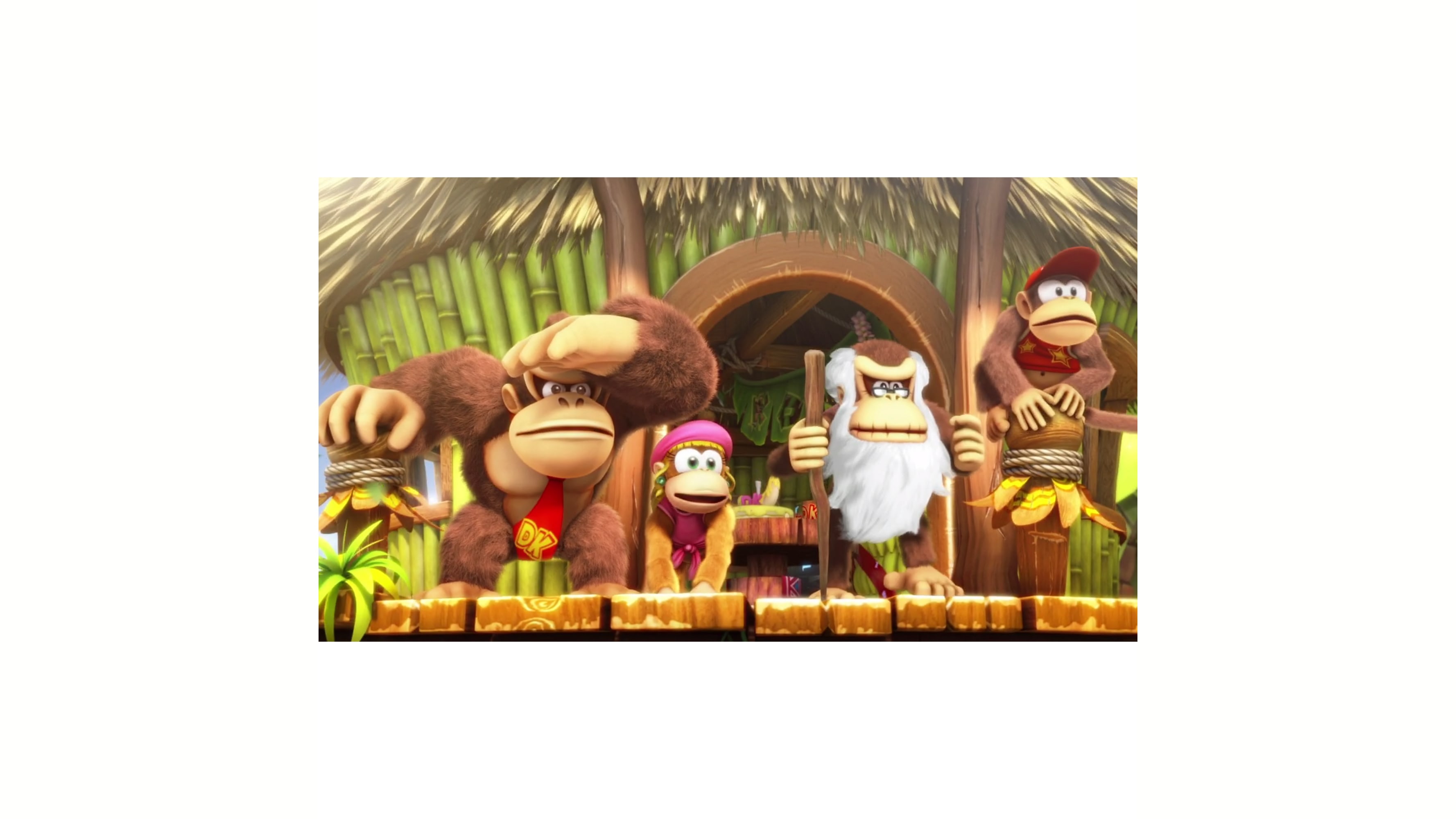 Donkey Kong Country™: Tropical Freeze 5