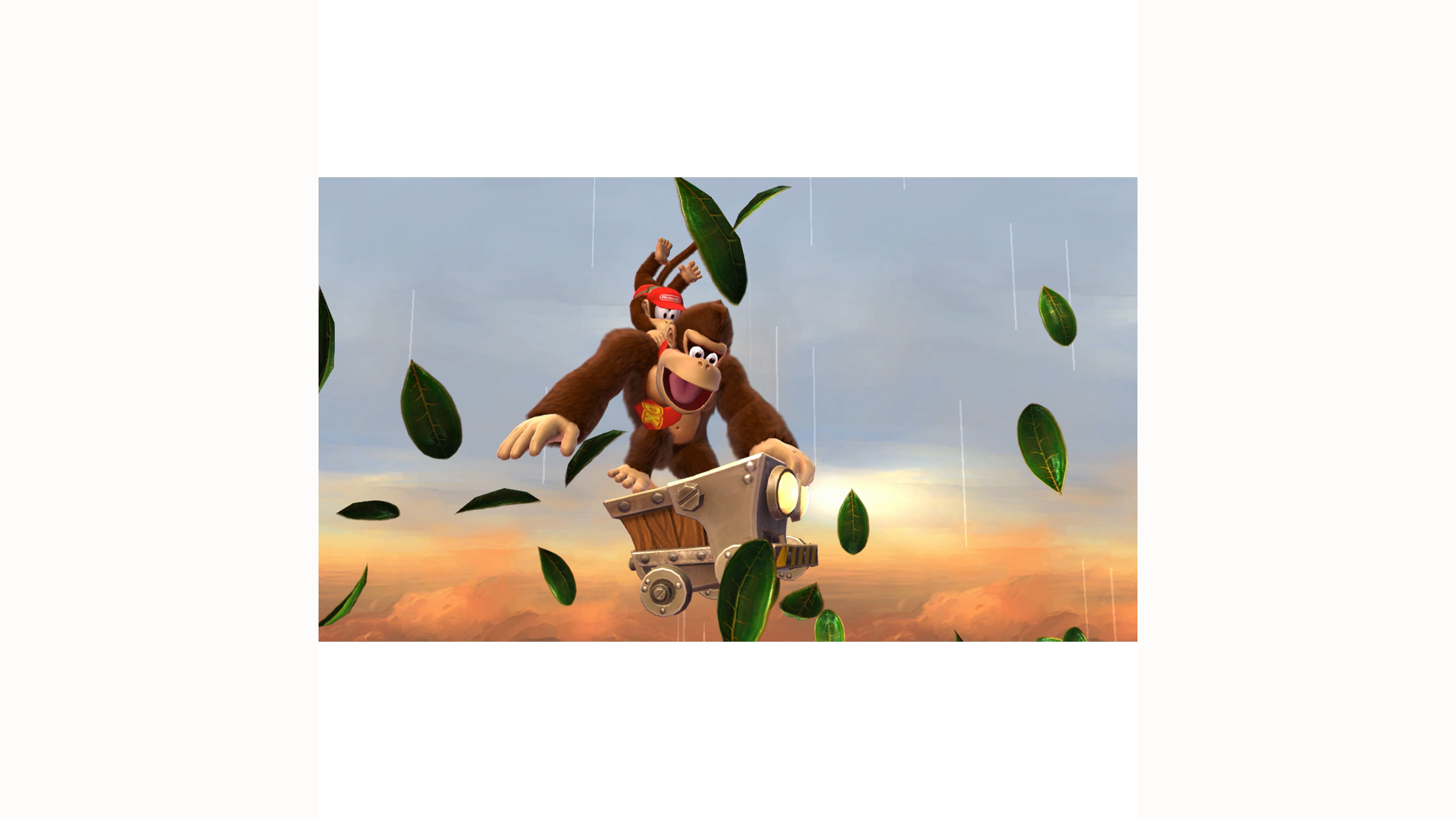 Donkey Kong Country™: Tropical Freeze 4