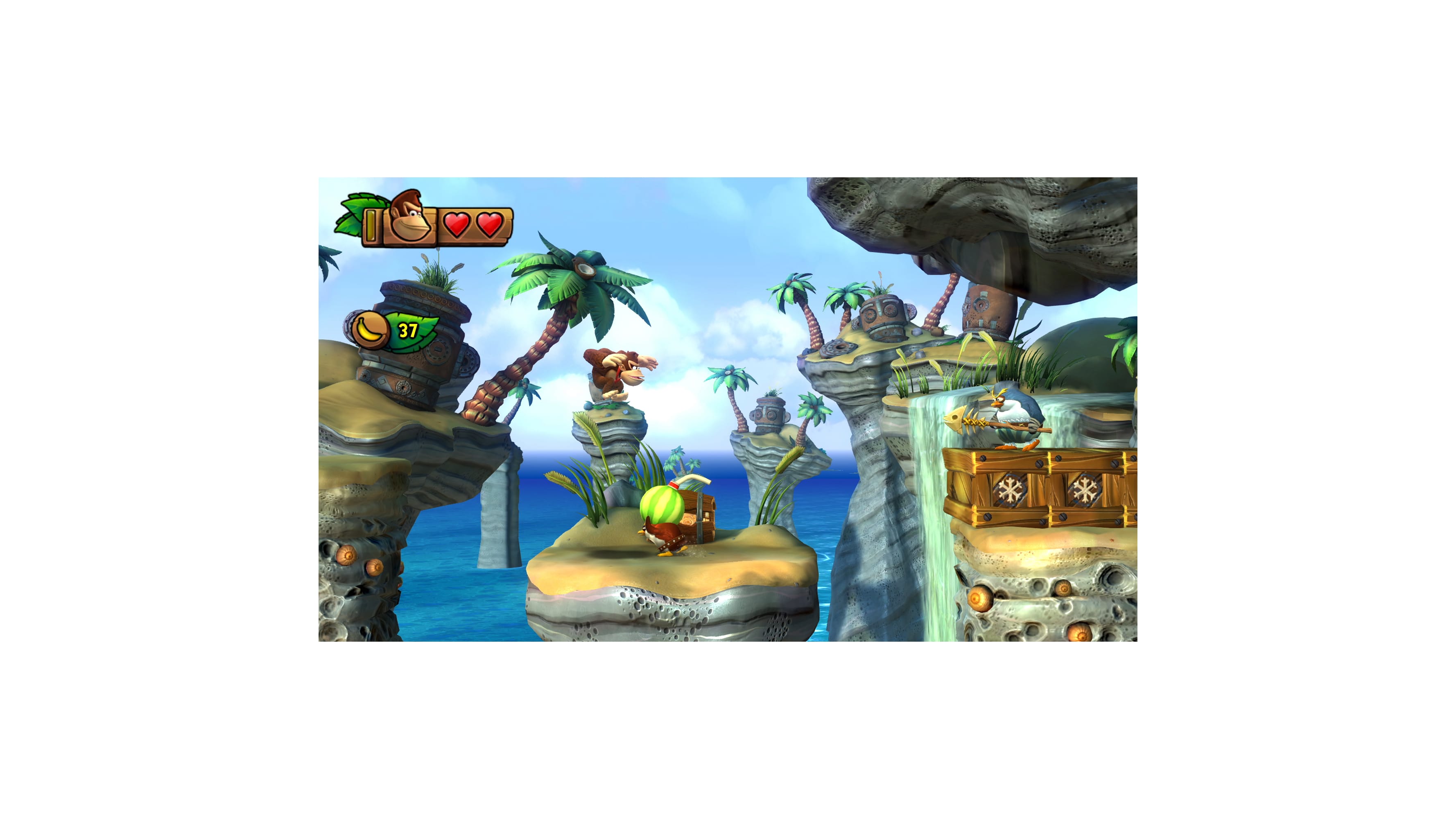 Donkey Kong Country™: Tropical Freeze 9