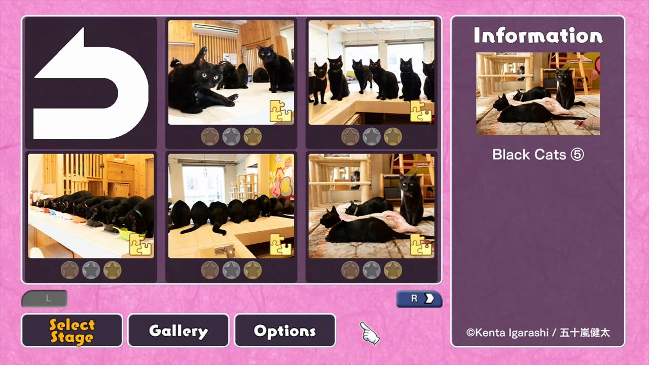 Black Cats in a Cat Welfare Cafe / Kenta Igarashi 2
