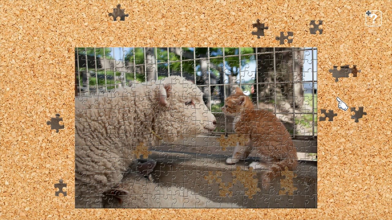 Cats and Friends on the Suetoshi Farm / Kenta Igarashi 6