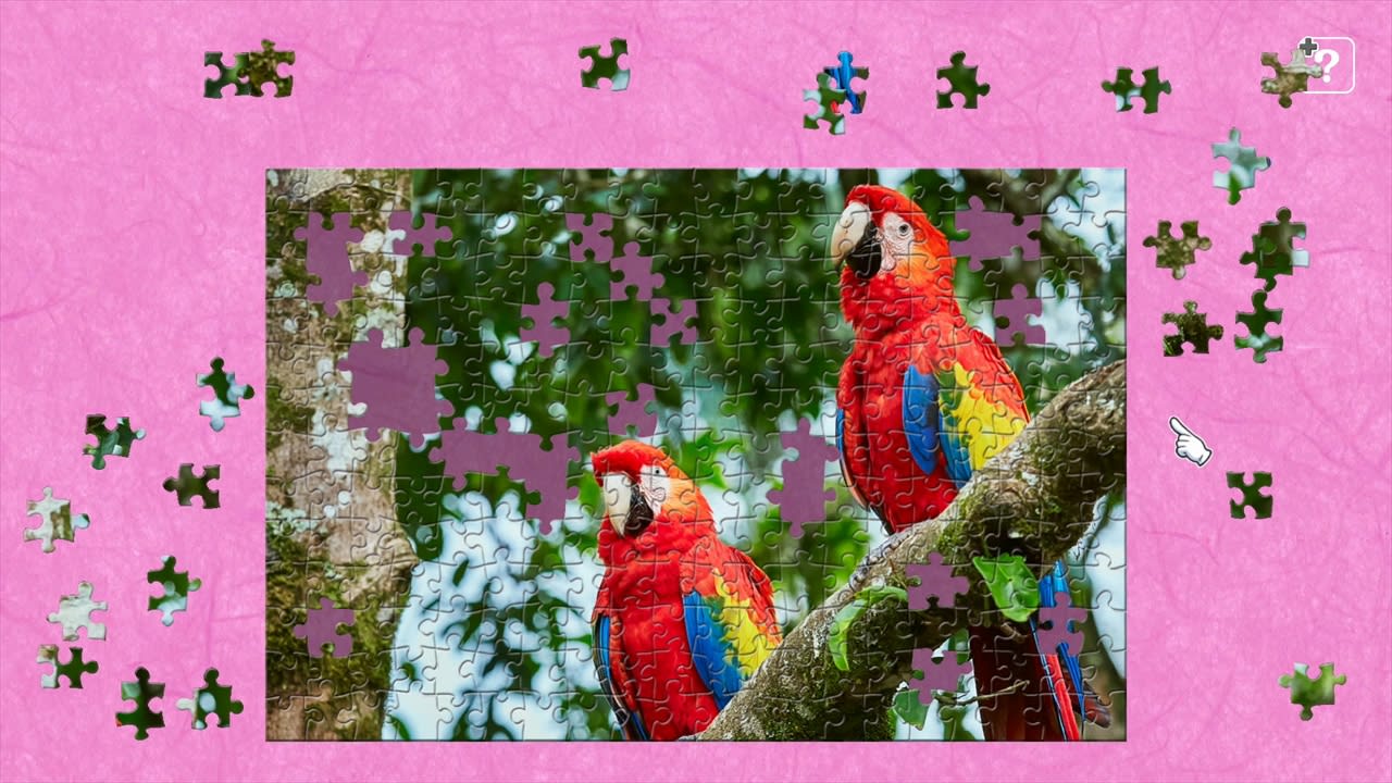 Colorful Birds 3