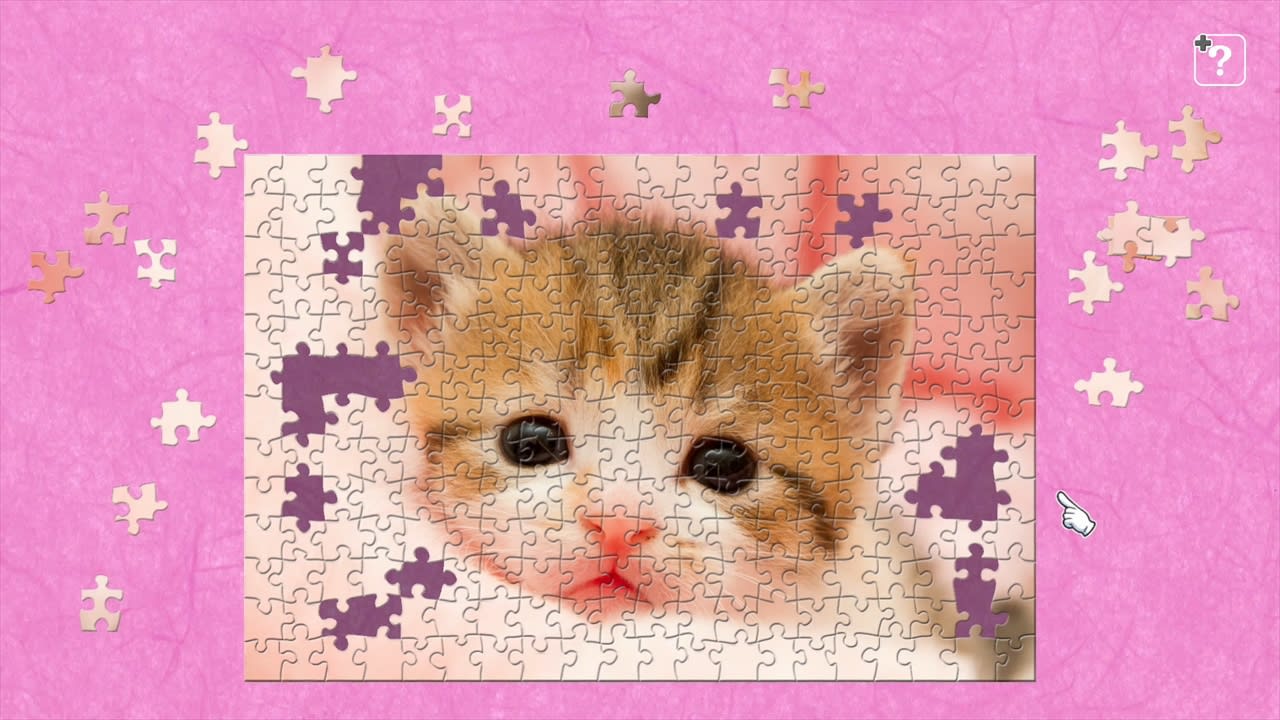 Little Kittens / Kenta Igarashi 4
