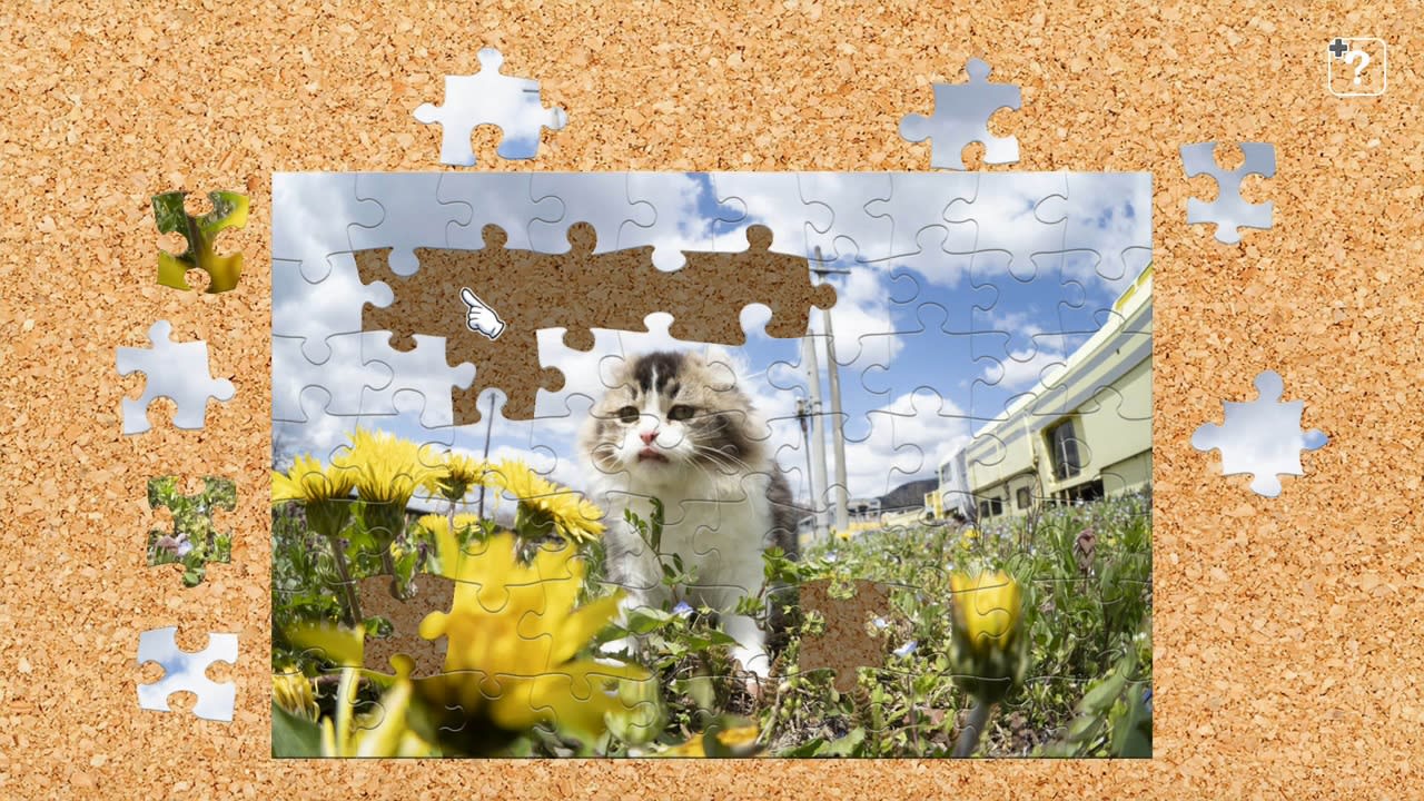 Station Master Cat in Japan / Kenta Igarashi 4