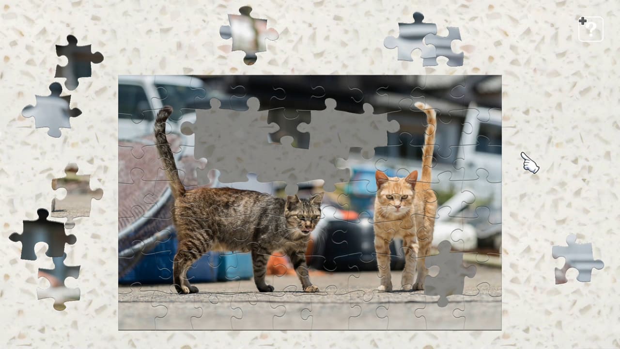 Street Cats in Japan 4