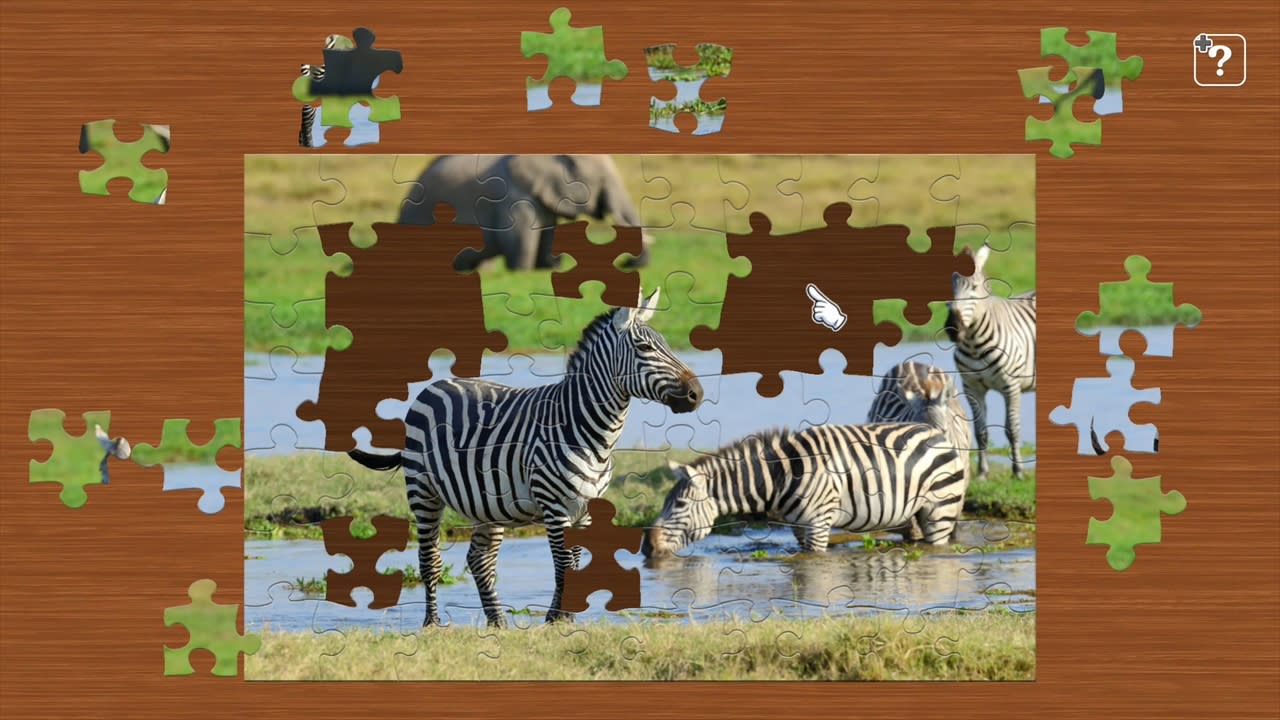 Wildlife in Africa 3