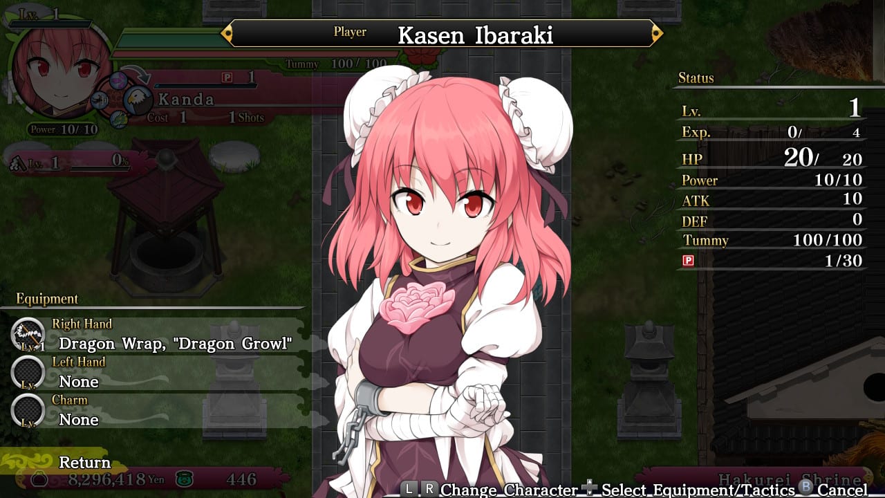 Playable Character - Kasen Ibaraki & Equipment 2